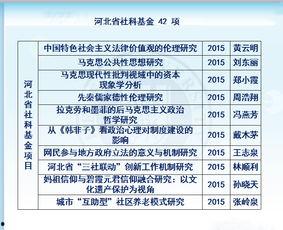 理论国产一级,引领科技创新,铸就民族品牌辉煌