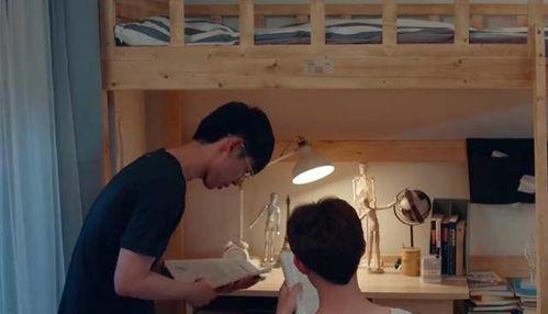 国产一级片儿,揭秘中国电影市场的独特魅力